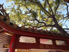 -仓山金山寺