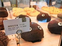 -昆山城市生态森林公园