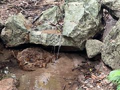 -七仙岭温泉国家森林公园