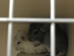 -龙猫仔乐园(惠福东路店)