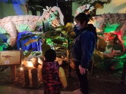 -恐龙探索乐园(磁器口店)