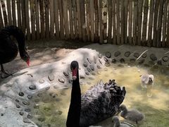 -水上乐园·欢乐世界