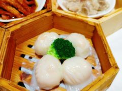 -粤食堂(天津和悦汇店)