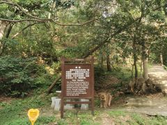 -大连金龙寺国家森林公园-售票处