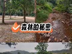 -田心森林公园