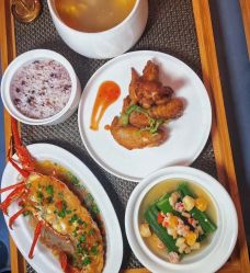 -臻康乃馨月子中心(集美店)