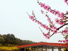 -美兰湖景区