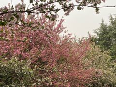 -洛阳市隋唐城遗址植物园