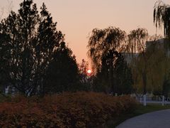 -西海子公园
