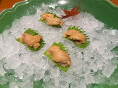 -月龍吟(朝龙汇店)