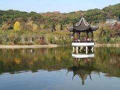 -苏州上方山国家森林公园