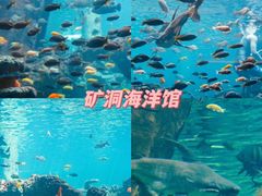-长鹿旅游休博园