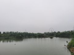 -日照海滨国家森林公园