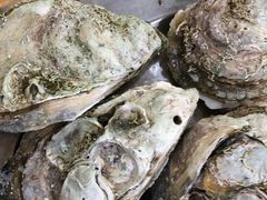 桑拿蚝-蚝专家(北滘店)