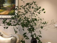 -双季花艺园艺市场(浦东店)
