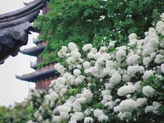 -常熟方塔园