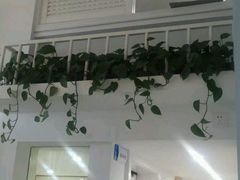 -荣耀金沙动物医院(清江西路店)