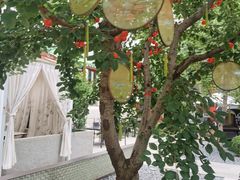 -庐灶江南·江南菜·四合院Bistro(东直门雍和宫·原华侨宾馆店)