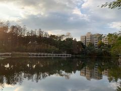 -荔枝公园(福田区)