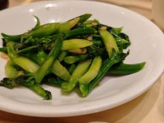-锦粤宫·精致粤菜(深圳北站店)