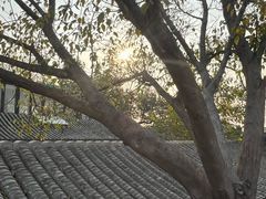 -糖房咖啡(南锣鼓巷店)