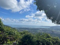 -三亚亚龙湾人间天堂鸟巢度假村