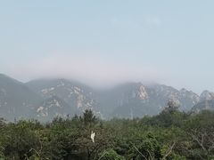-凤凰小镇·徐州特色菜(凤凰岭店)