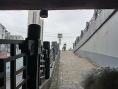 -董记冒节子肥肠粉