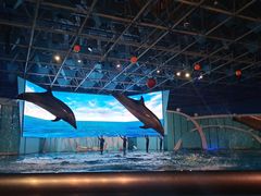 -海合安青岛极地海洋公园