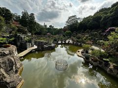 -深圳仙湖植物园