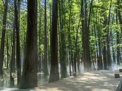 -东湖落雁景区