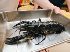-橼舍鮨青木