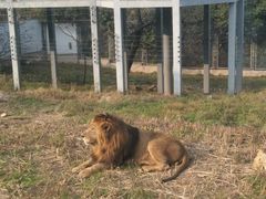 -西安秦岭野生动物园