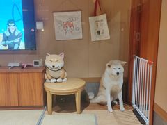 -大江户·温泉洗浴(浑南店)