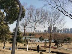 -滨湖塘西河公园