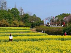 -杏花村文化旅游区