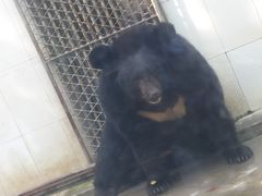 -广东茂名森林公园