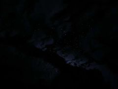 -怀托摩萤火虫洞