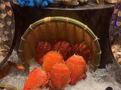 -安蒂娅·海鲜自助餐厅(安蒂娅美兰酒店)