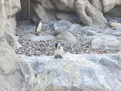 -上海野生动物园