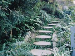 -南山植物园