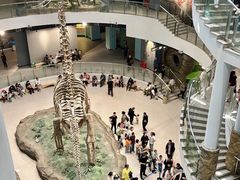 -辽宁古生物博物馆