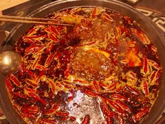 -季季山·云南野生菌火锅(上海首店)