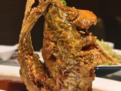 -老牌坊鲁菜名店(聊城美食岛店)