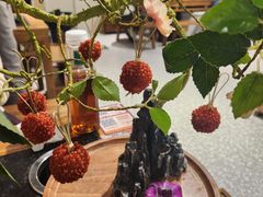 -旺蜀主成都串串火锅(西直门凯德MALL店)