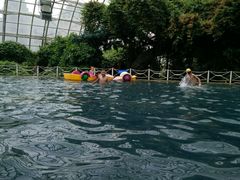 -盛泰恐龙谷温泉