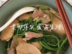 -小蝌蚪·寻·月嫂(普陀总部)