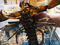 -盒马鲜生(莱蒙都会店)