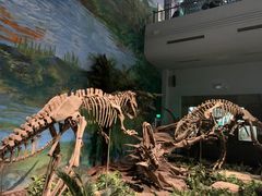 -自贡恐龙博物馆