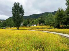 -塔川景区